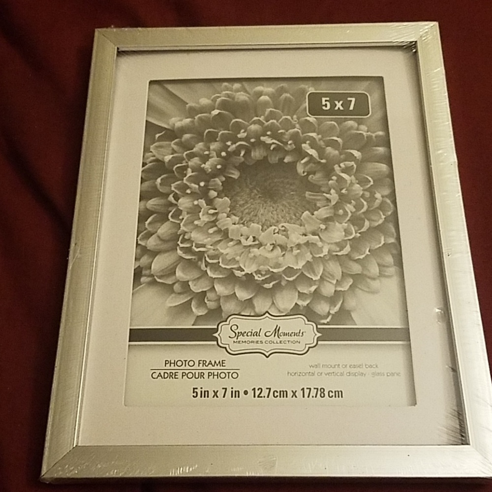Brand New frame